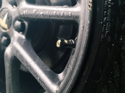 Model S/3/X/Y: Anti-corrosion Aluminum Air Valve Caps (4 PCs)