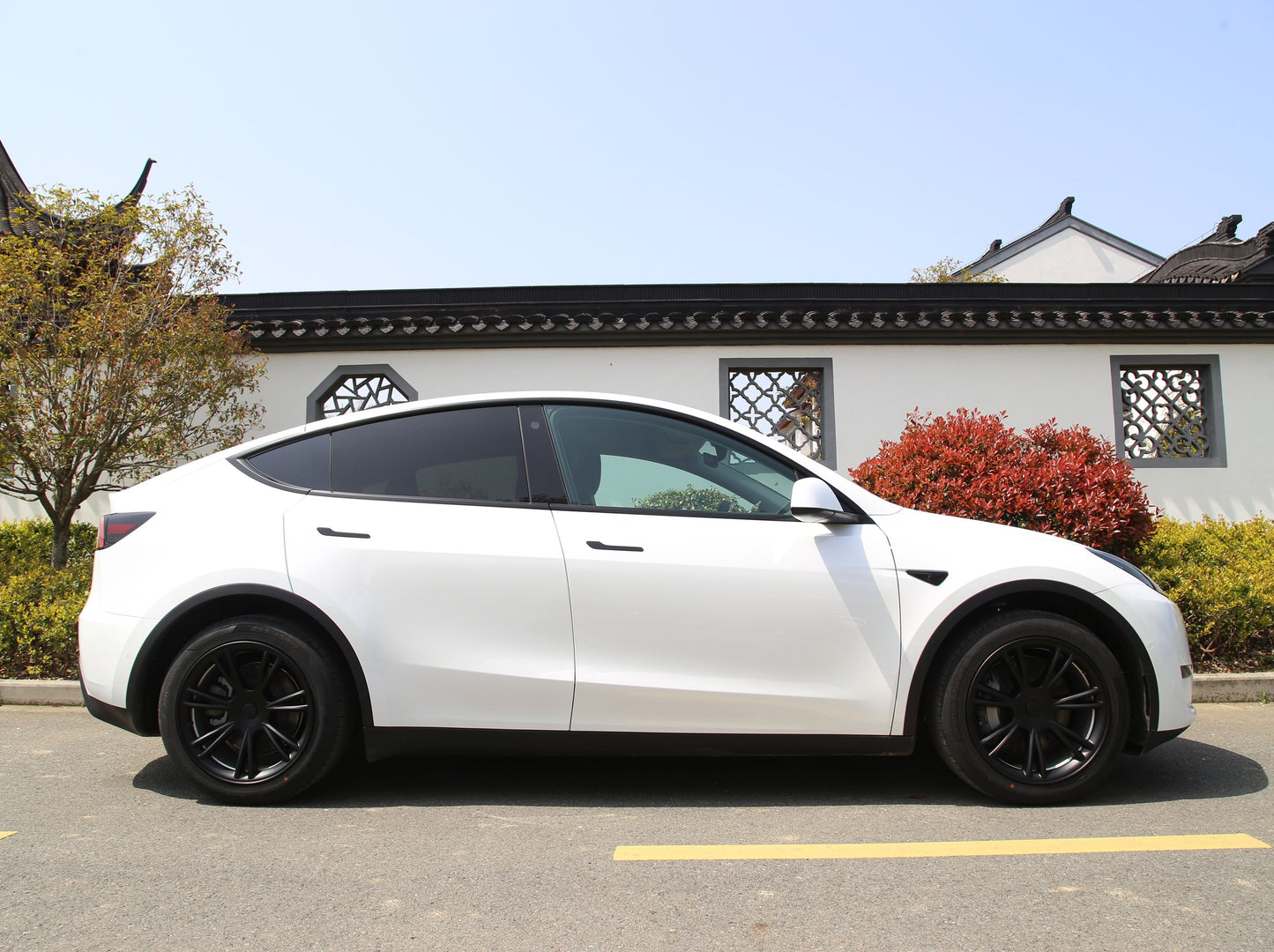 Model Y: Gemini 19" Wheel Rim Protector Cover