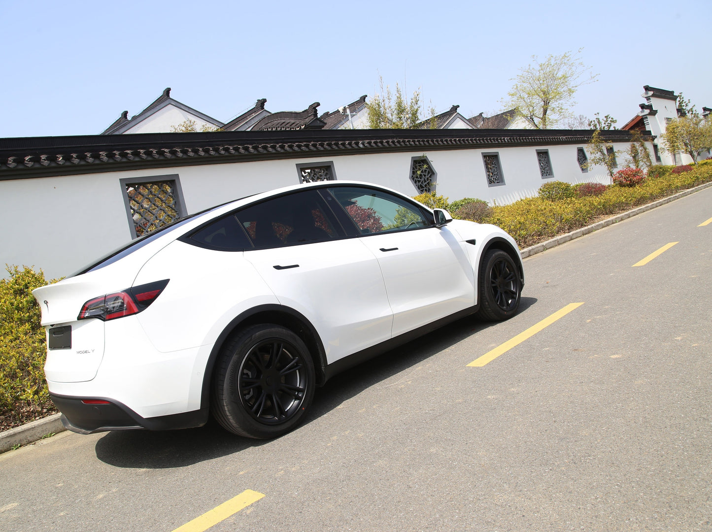 Model Y: Gemini 19" Wheel Rim Protector Cover