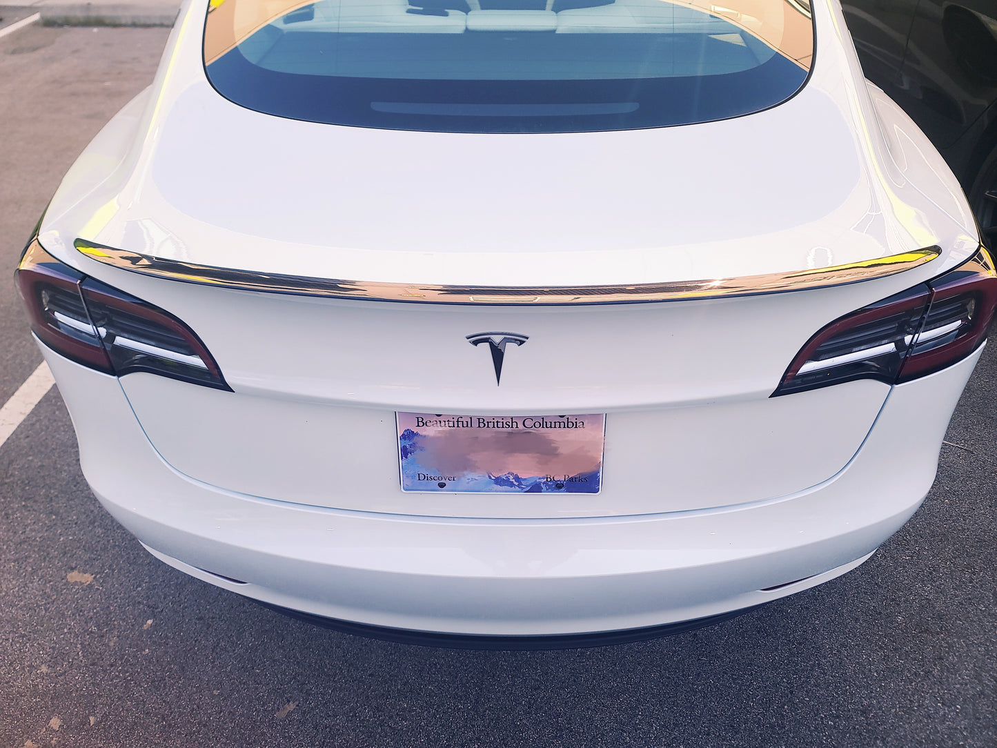 Model 3/Y: Real Carbon Fibre Performance Spoiler