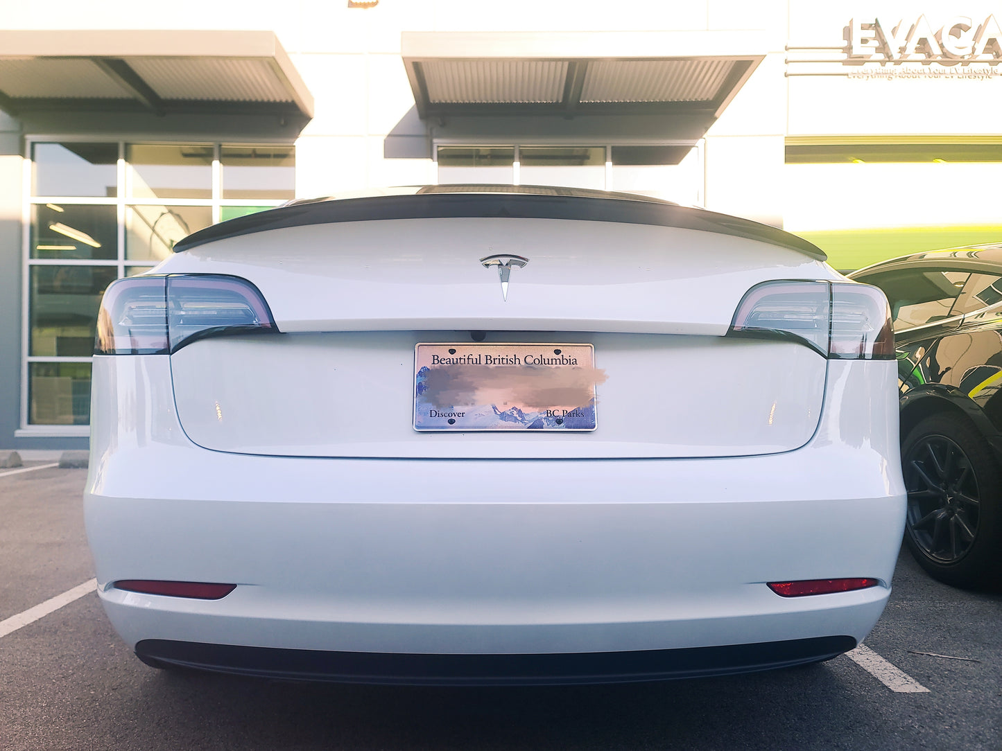 Model 3/Y: Real Carbon Fibre Performance Spoiler