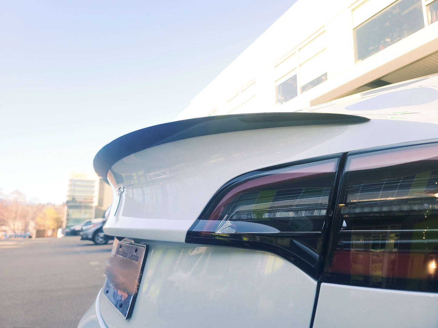 Model 3/Y: Real Carbon Fibre Performance Spoiler