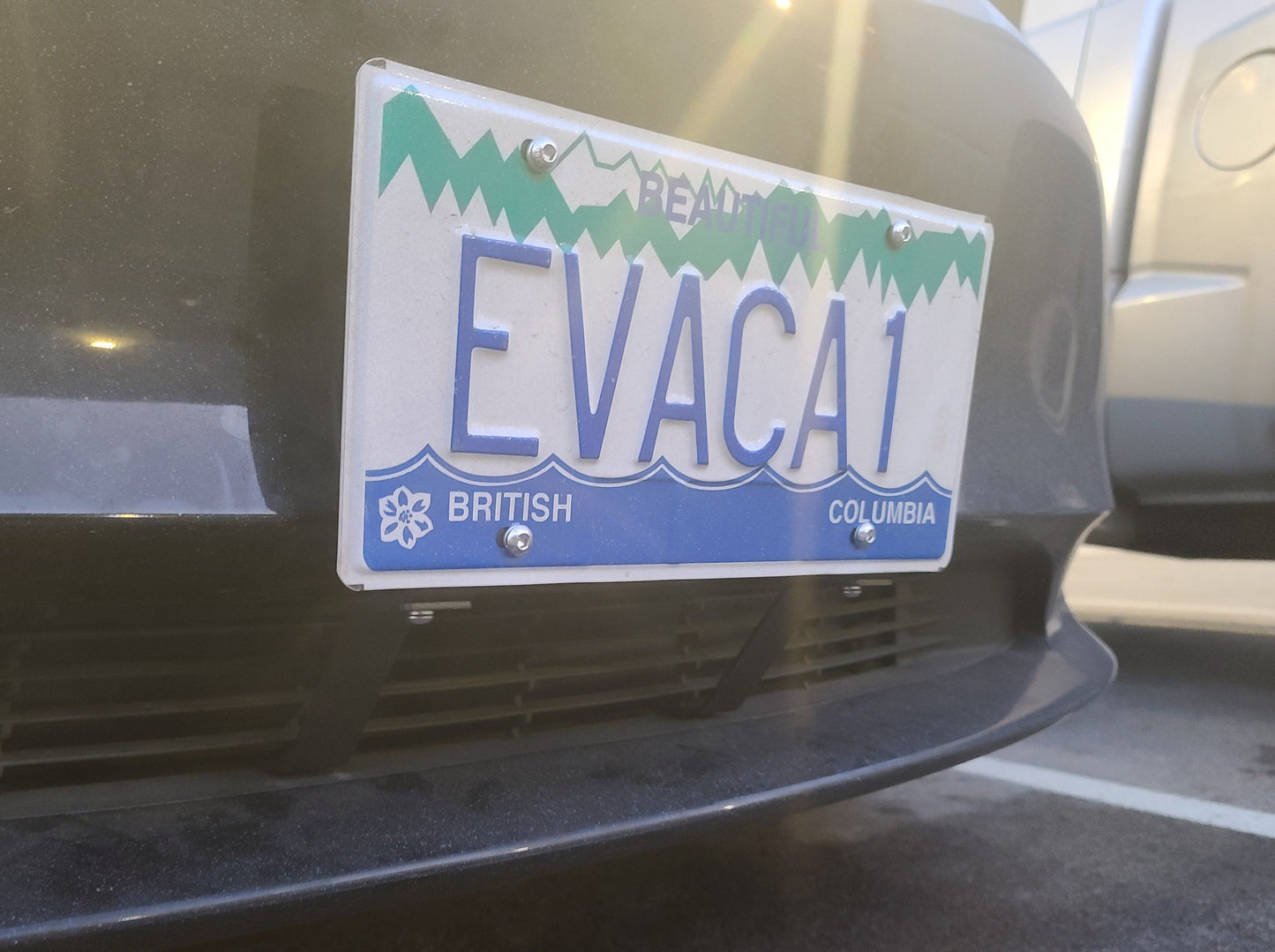 Model 3/Y: Metal License Plate Frame Holder