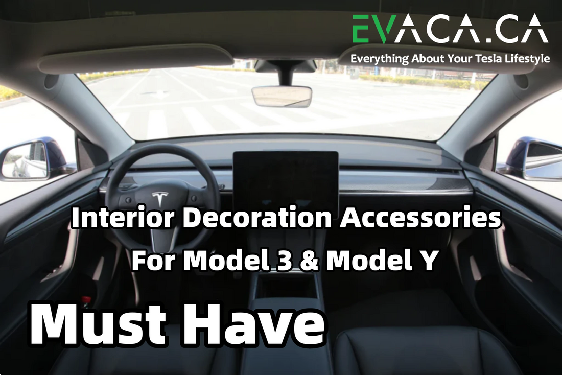 Must-Have Interior Decoration Accessories for Tesla Model 3 & Model Y