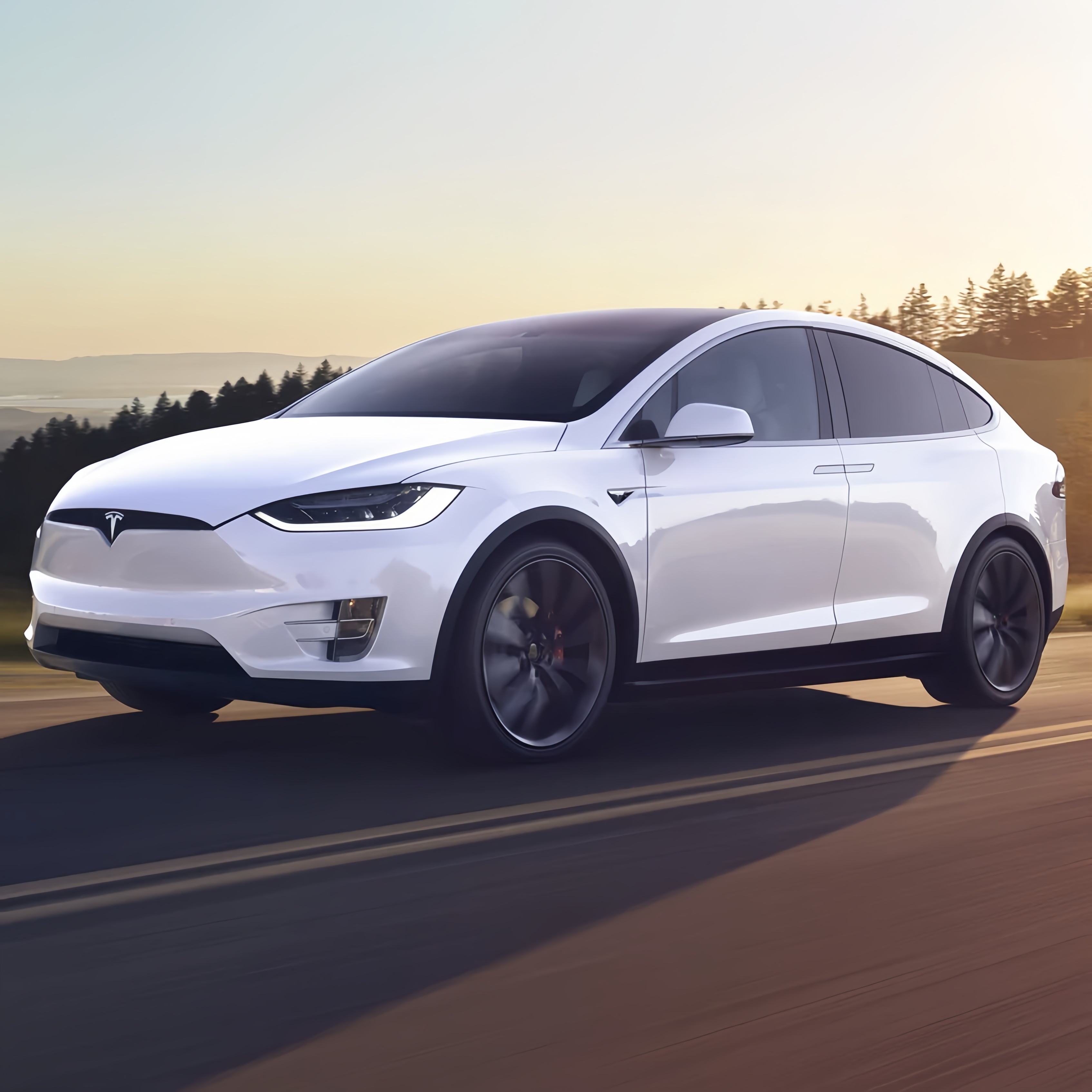 Model X – EVACA Premium Tesla Accessories