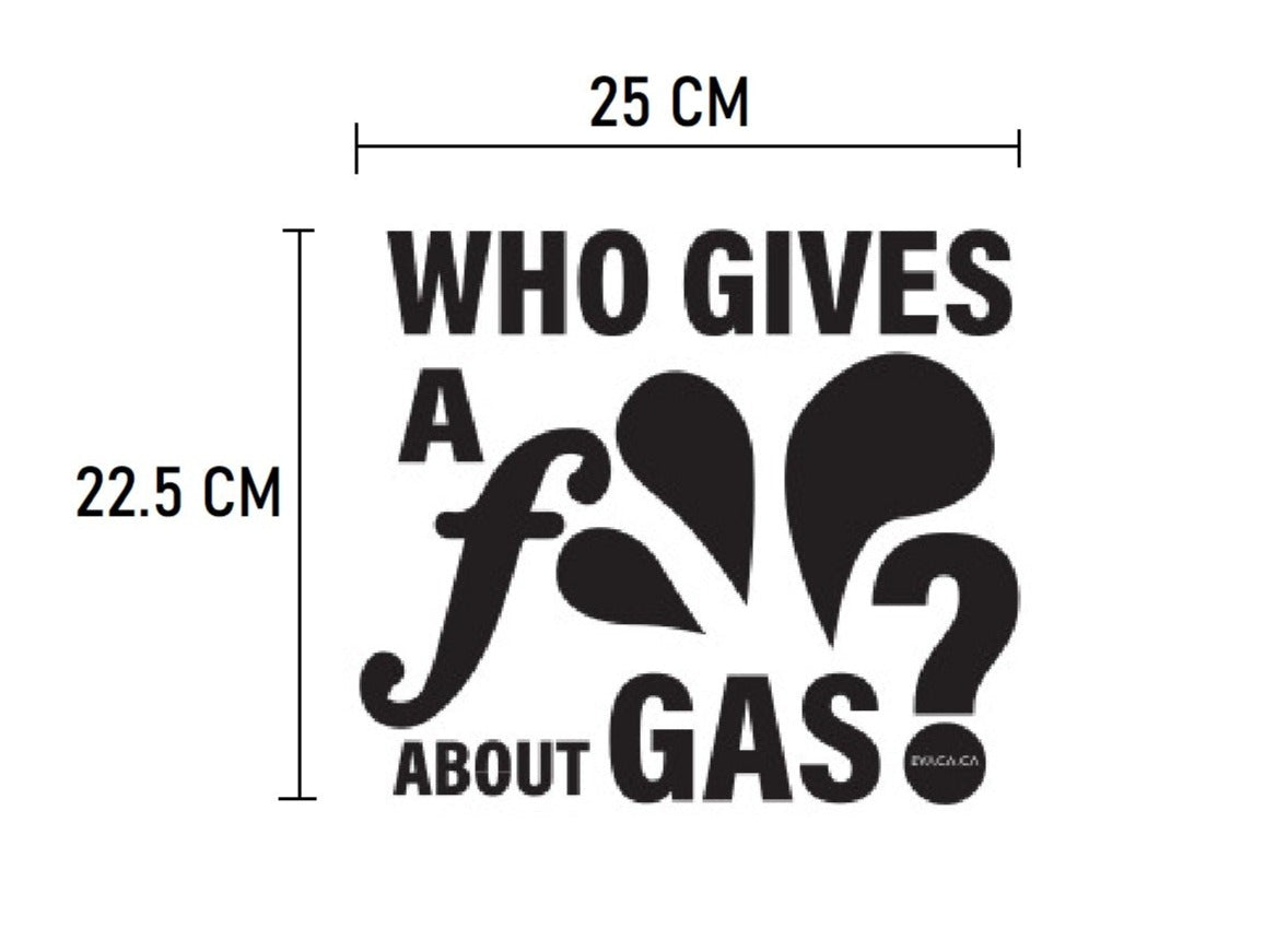 Model S/3/X/Y: Magnetic EV Car Stickers